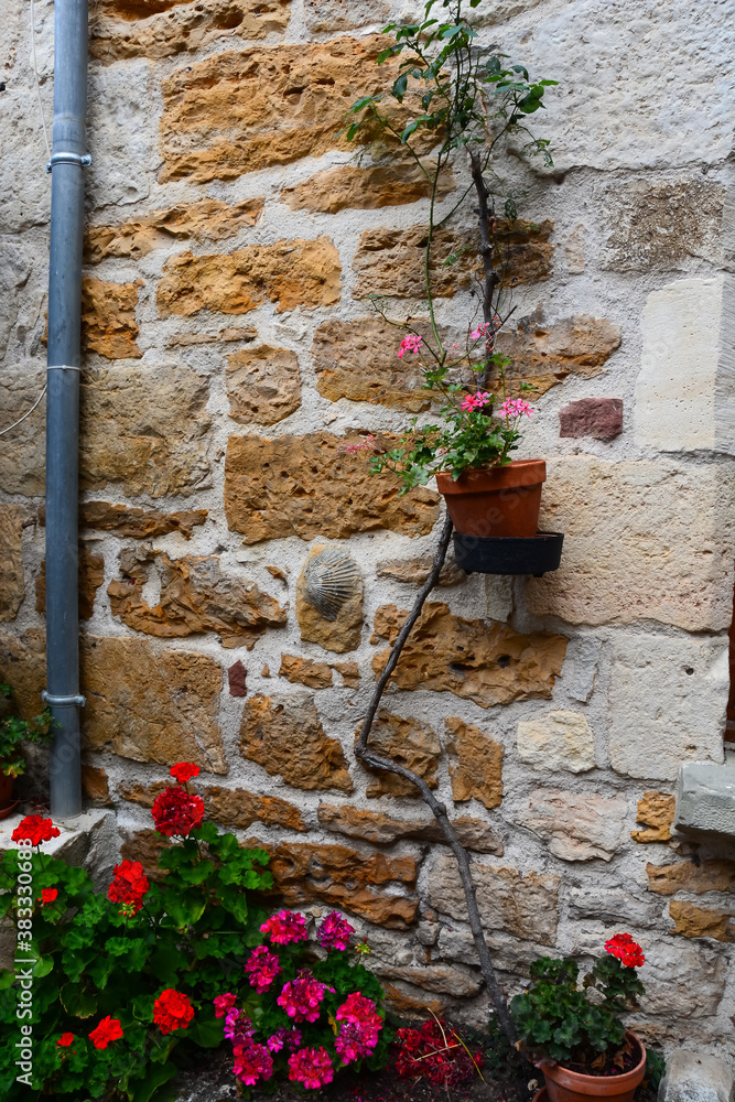 Naklejka premium Fleurs