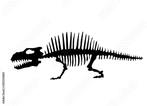 Vector silhouette of dinosaurs skeleton. Hand drawn dino skeleton. Dinosaur bones, exhibit fossils in the museum