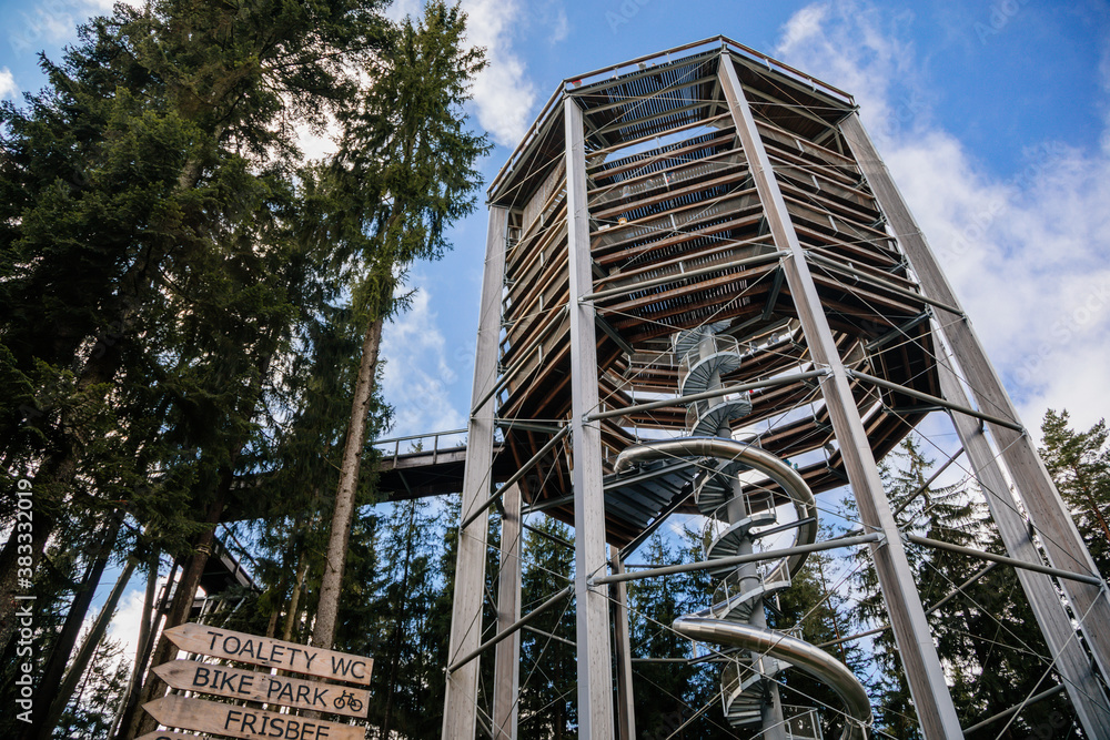 Obraz premium Treetop Walkway (Stezka korunami stromu) in sunny day Lipno nad Vltavou, South Bohemia, Czech Republic