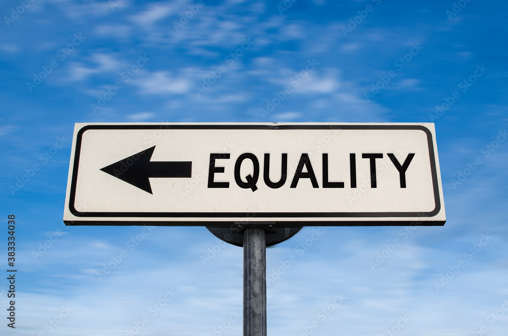 Equality road sign, arrow on blue sky background. One way blank road sign with copy space. Arrow on a pole pointing in one direction.