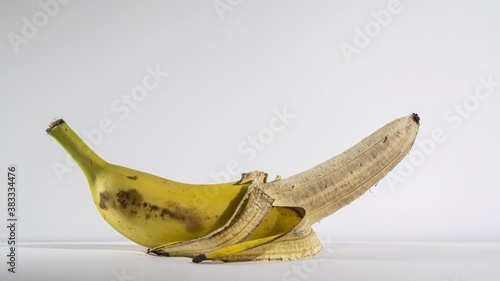The banana comes to life and rises against a white background. Male Power Concept. Two weeks timelapse