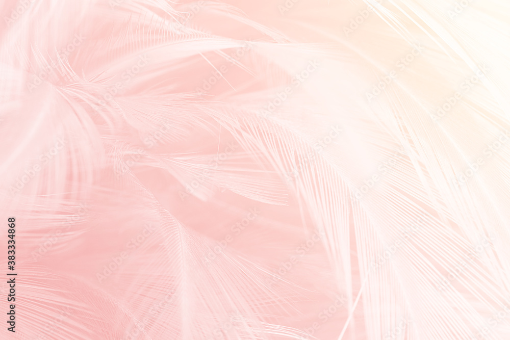Beautiful light pink feather pattern texture background Beautiful light pink feather pattern texture background