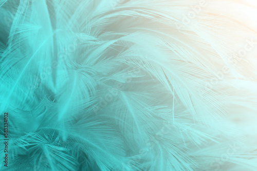 Green turquoise and blue color trends chicken feather texture background,Light orange 