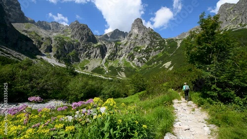 mountain landscape in the summer