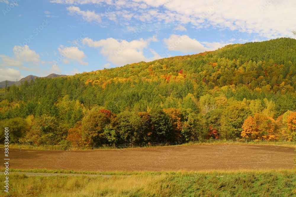 Soft focus of autumn view with colorful leave on tree and blue sky in autumn. View from running car's window. Nature and outdoor concept. Soft focus of autumn view with colorful leave on tree and blue sky in autumn. View from running car's window. Nature and outdoor concept.