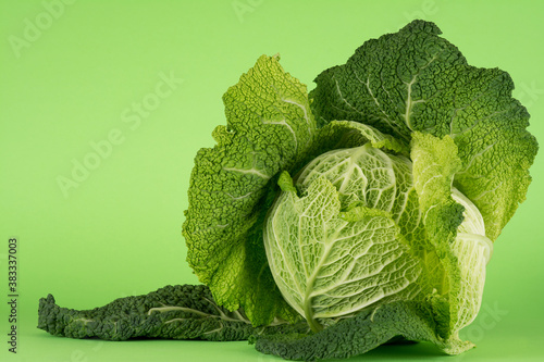 Savoy cabbage, tundra cultivar, often mistakenly called kale in Serbia. Beautiful outer greenish-yellow, emerald and green leaves are open, revealing firm and round heart.
