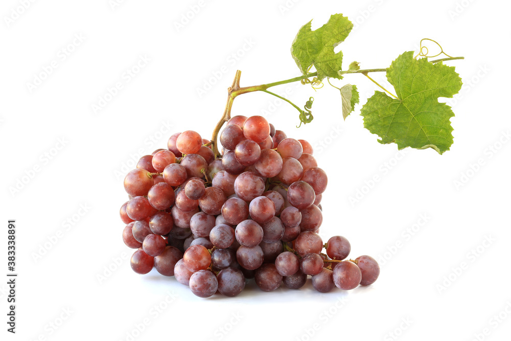 Fototapeta premium Bunches of purple grapes with sprig isolated on white