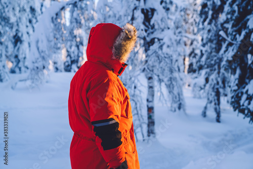 Rear view of man in warm red winter coat in hood standing in white frozen wood explore destination, male traveler spending time in white forest with snowy trees during journey