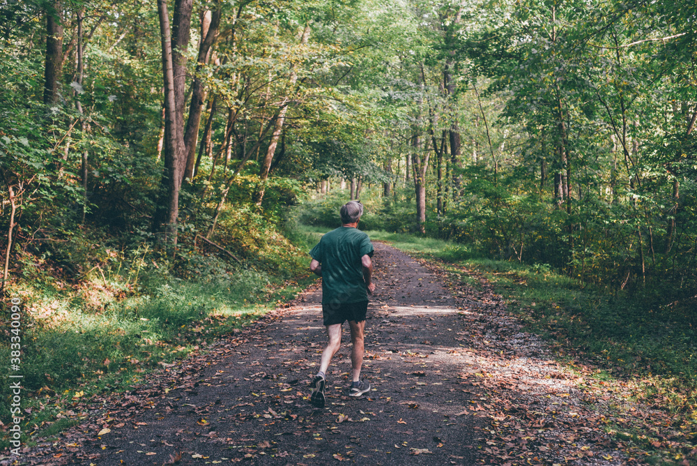 Jog in the Woods Jog in the Woods