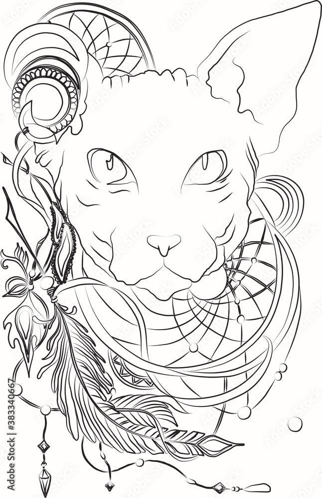 Fototapeta premium sphynx cat illustration isolated on white background. Vintage hand drawn ink sketch with portrait cat