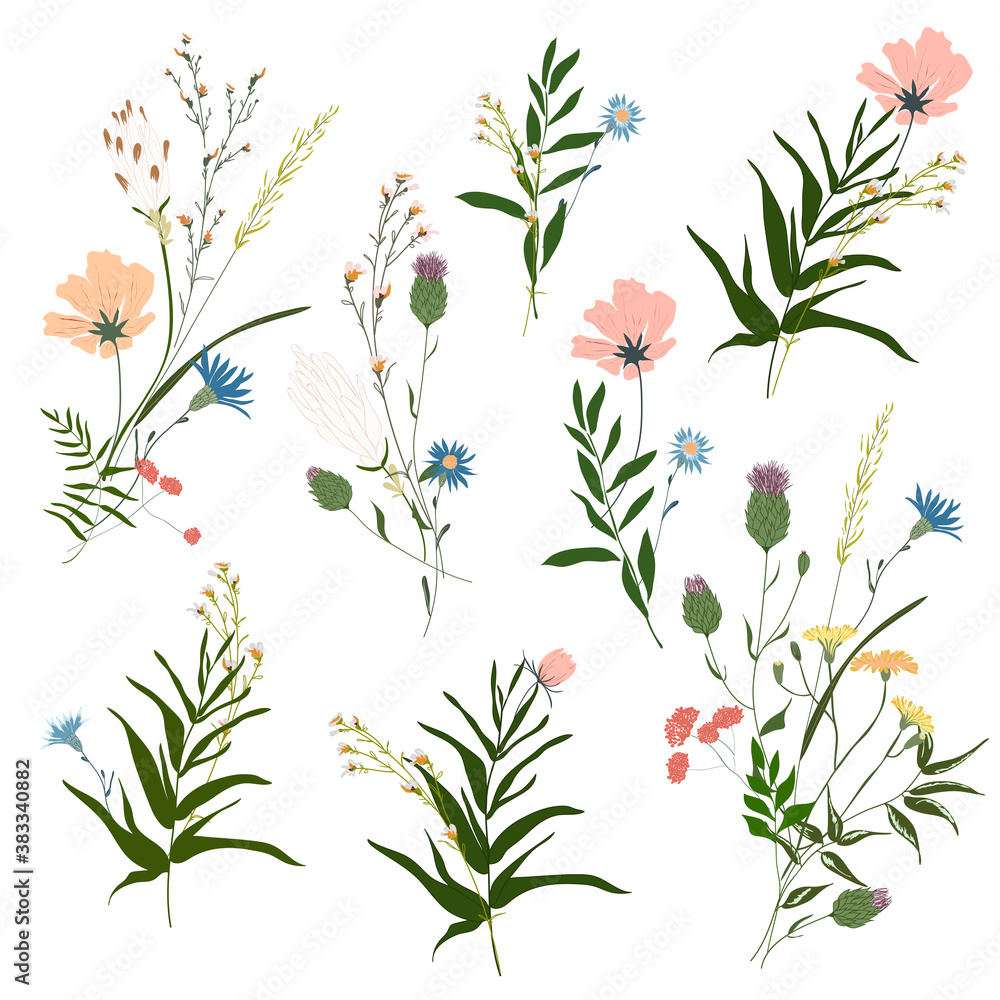 Hand drawn flower collection. Various flowers from fields and meadows in bouquets. Big set botanic branches, leaves, foliage, herbs, wild plants. Bloom vector illustration isolated on white background