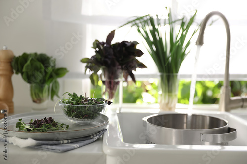 Bowl of fresh organic microgreen on countertop near sink in kitchen © New Africa