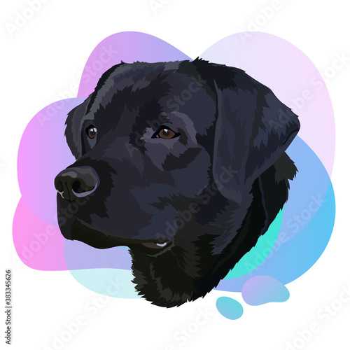 Black labrador vector.Portrait of a dog 1. Trend