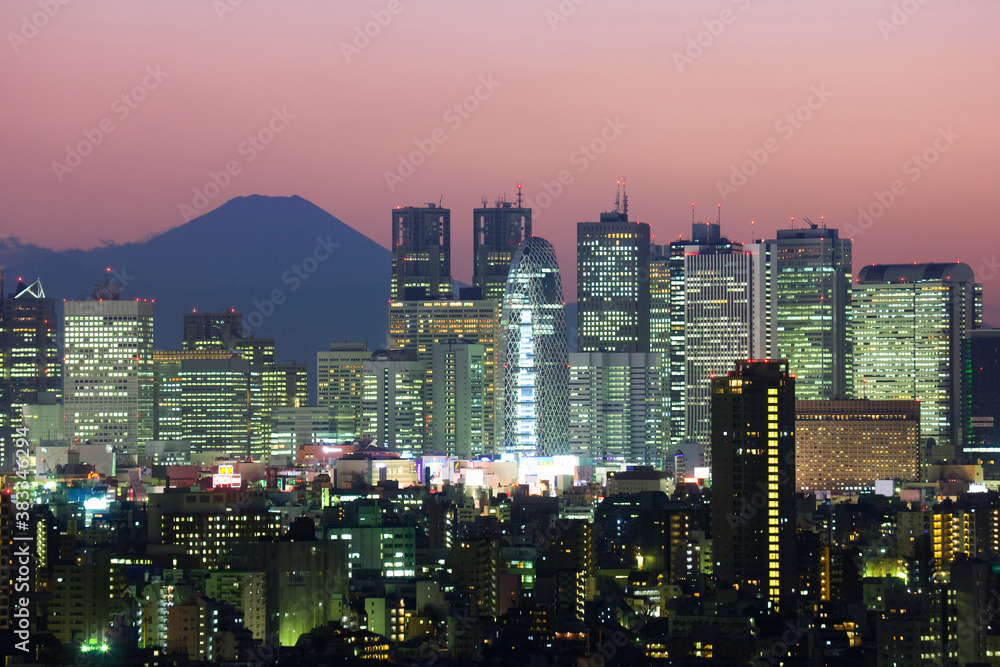 Naklejka premium 新宿高層ビル群と富士山