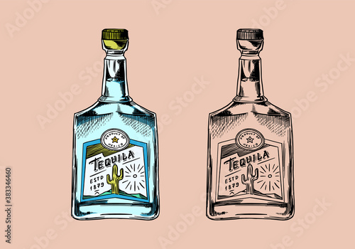  Glass Bottle with strong drink. Vintage Mexican tequila badge. Alcoholic Label for poster banner. Hand Drawn engraved sketch for t-shirt.