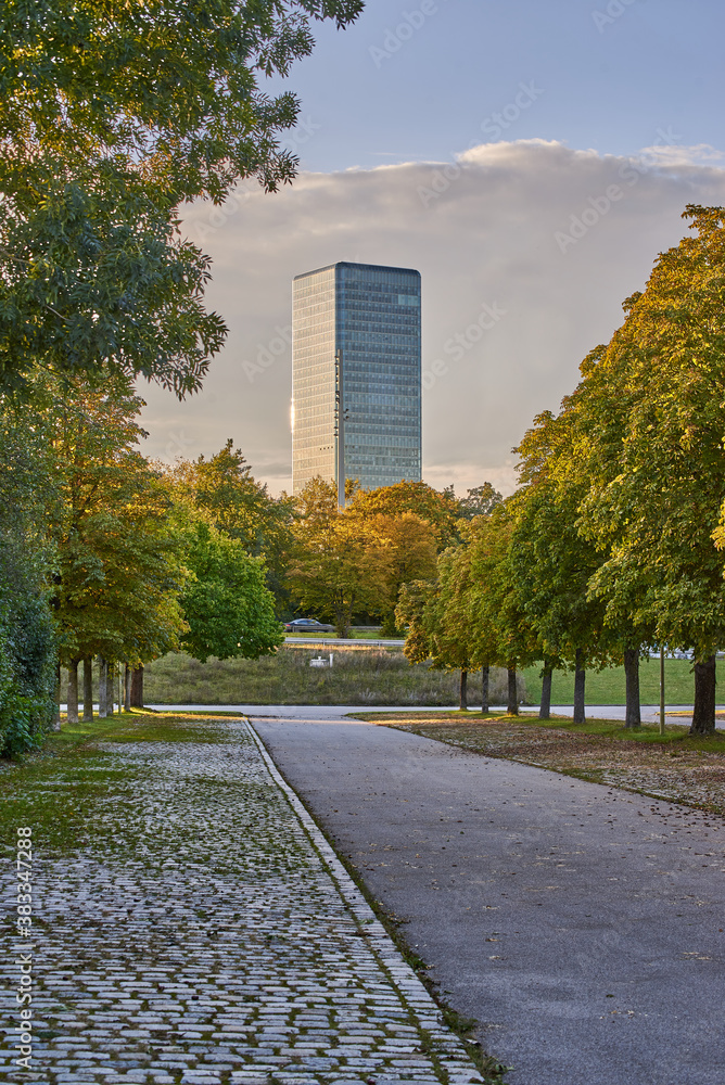 Business tower during sunset. Park with colorful trees and skyscraper in the background.
