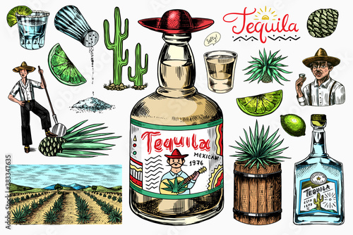 Tequila bottle, shot with lime, blue agave Plant, barrel and root ingredient, farmer and harvest. Engraved hand drawn vintage sketch. Woodcut style. Vector illustration for menu or poster.