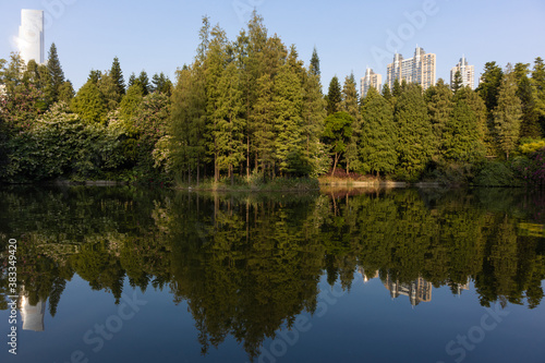 Green trees by the lake in which the trees are reflected. Multi-story buildings can be seen behind the trees