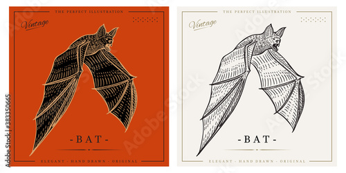 Bat illustration sketch vintage retro detailed engraved style illustration