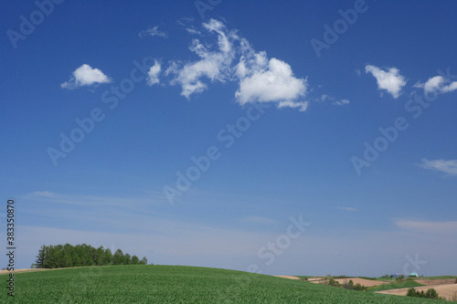 青麦畑と雲 © Paylessimages