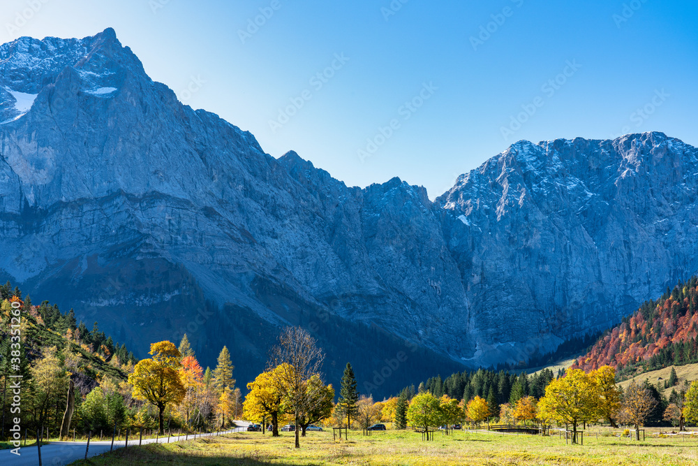 maple trees at Ahornboden, Karwendel mountains, Tyrol, Austria - obrazy, fototapety, plakaty 