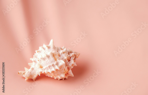 Stampa su tela A pink background of silks with a shell on it