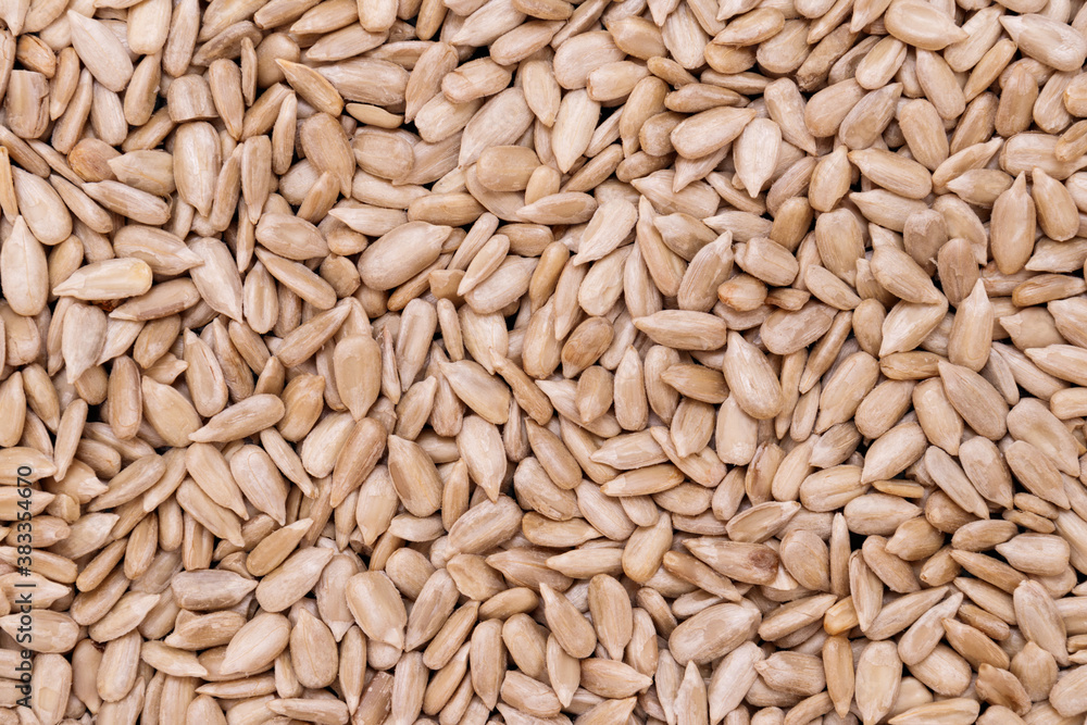 Roasted sunflower seeds background. Macro shot. Roasted sunflower seeds background. Macro shot.