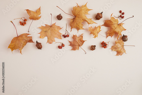 Autumn composition. Dried leaves and pompkins on pastel biege background. Top view. Flat lay.