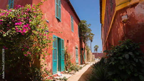 Fotografia Paysage et ruelle du Sénégal et Dakar