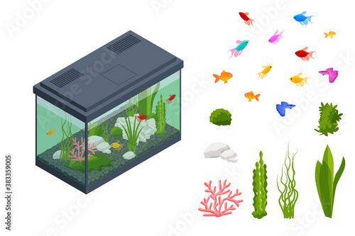 Isometric Goldfish in the Freshwater Aquarium and Set of Aquarium Underwater Elements, Fish, Corals, Green Planted Tropical, Stones Isolated on White Background.