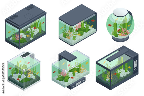 Isometric Goldfish in the Freshwater Aquarium and Set of Aquarium Underwater Elements, Fish, Corals, Green Planted Tropical, Stones Isolated on White Background.