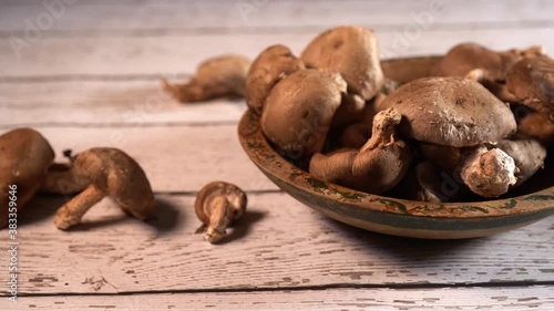 Dolly to right of fresh shiitake mushrooms on a blue background. photo