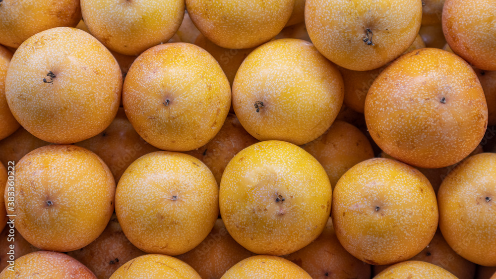 PASSIFLORA LIGULARIS OR HARVEST YELLOW GRANADILLA READY TO SELL EN TULUÁ VALLE DEL CAUCA COLOMBIA
PASSIFLORA LIGULARIS OR HARVEST YELLOW GRANADILLA READY TO SELL EN TULUÁ VALLE DEL CAUCA COLOMBIA