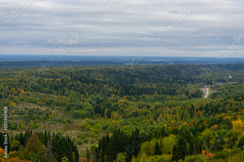 Beautiful panoramic aerial drone view to Bialowieza Forest - one of the last photo