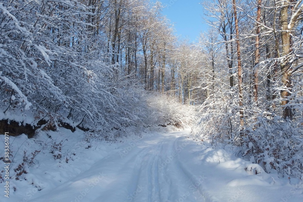 Obraz premium Road in beautiful snowy forest in sunny winter day