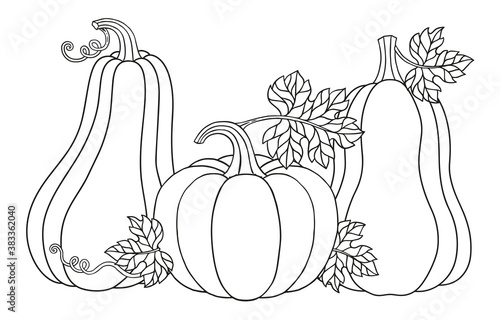Vector coloring page. Happy Halloween vector illustration Cute pumpkins for your design for the holiday