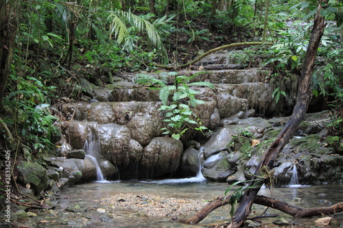 Waterfalls in the forest in Palenque. Chiapas, Mexico photo