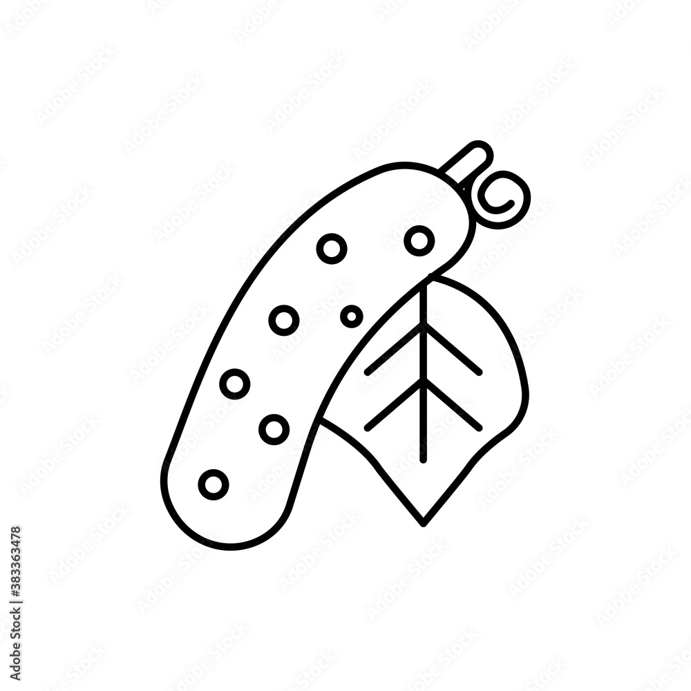 cucumber icon element of vegetables icon for mobile concept and web apps. Thin line cucucmber icon can be used for web and mobile. Premium icon on white background cucumber icon element of vegetables icon for mobile concept and web apps. Thin line cucucmber icon can be used for web and mobile. Premium icon on white background