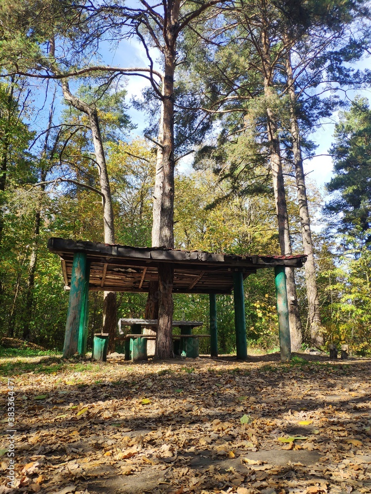 A wooden arbor in the forest. A cozy place for a family holiday in nature A wooden arbor in the forest. A cozy place for a family holiday in nature