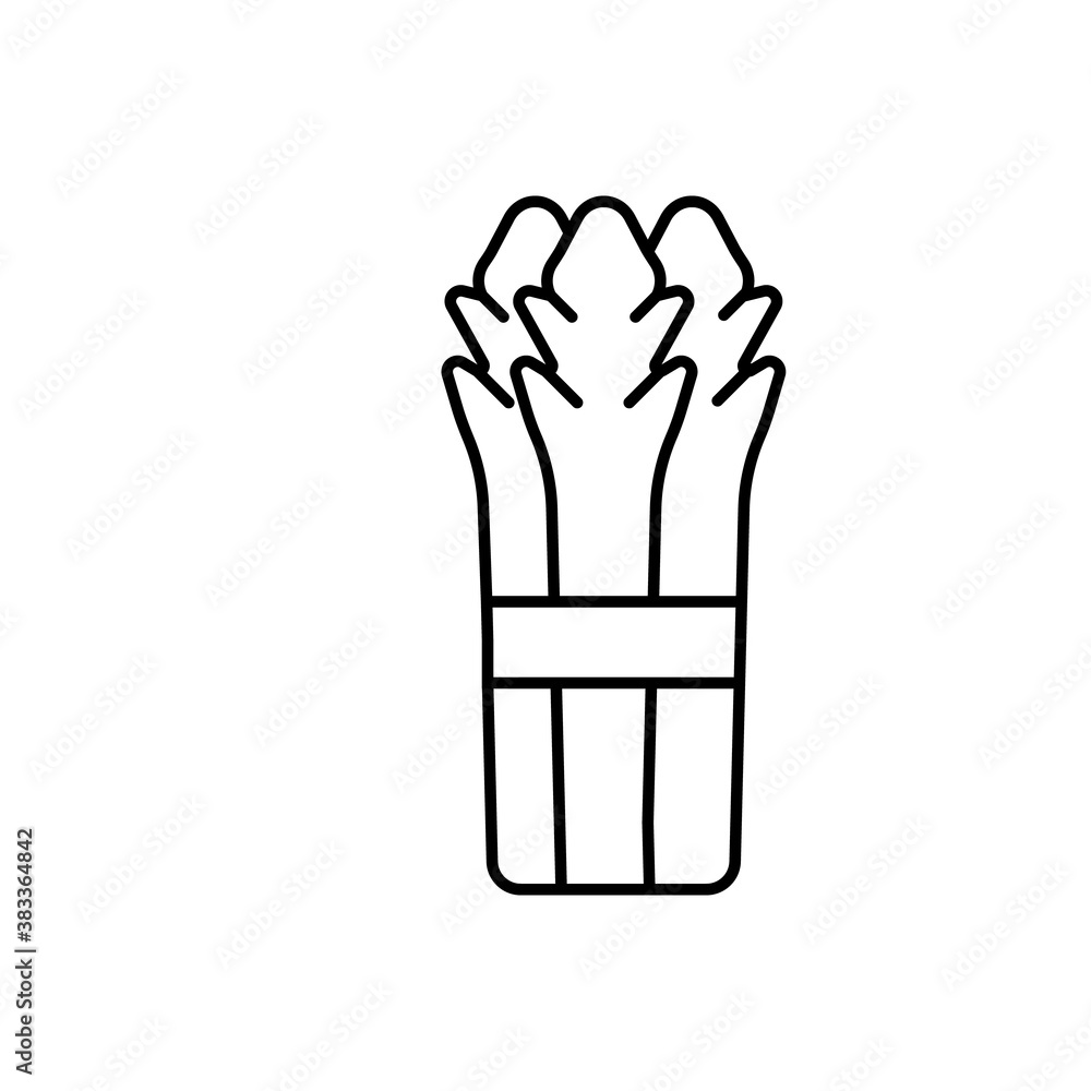 asparagus icon element of vegetables icon for mobile concept and web apps. Thin line asparagus icon can be used for web and mobile. Premium icon on white background asparagus icon element of vegetables icon for mobile concept and web apps. Thin line asparagus icon can be used for web and mobile. Premium icon on white background