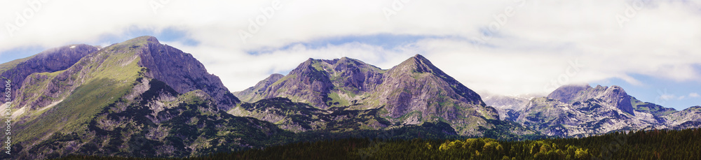 Scenic view of mountain landscape , forest at summer day. National park Durmitor, Montenegro, Europe.