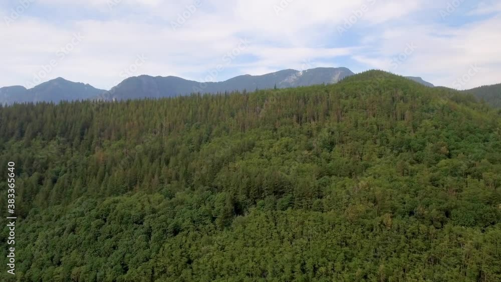 Forward gliding view of endless forest and towering mountains, bathed in emerald greens and deep blues Forward gliding view of endless forest and towering mountains, bathed in emerald greens and deep blues