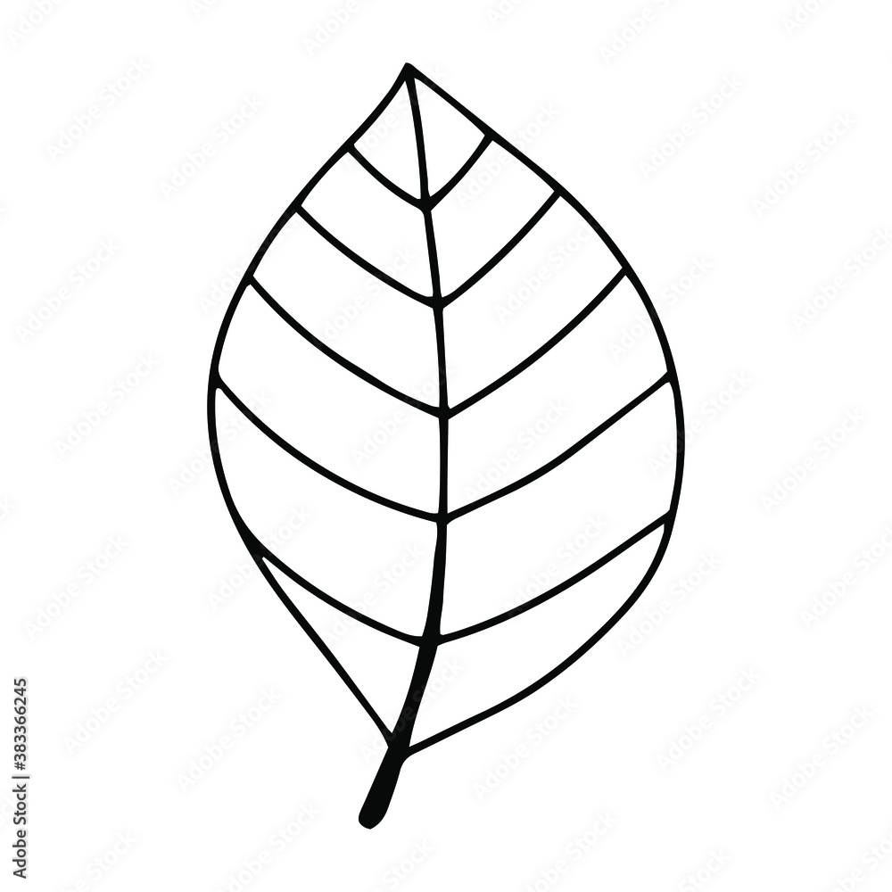 Pumpkin, leaf, acorn, mushroom. Vector doodle element. For printing on paper, package, web banners, greeting cards. Autumn Thanksgiving day Happy Halloween party. Forest. Vegatarian food symbols.
Pumpkin, leaf, acorn, mushroom. Vector doodle element. For printing on paper, package, web banners, greeting cards. Autumn Thanksgiving day Happy Halloween party. Forest. Vegatarian food symbols.