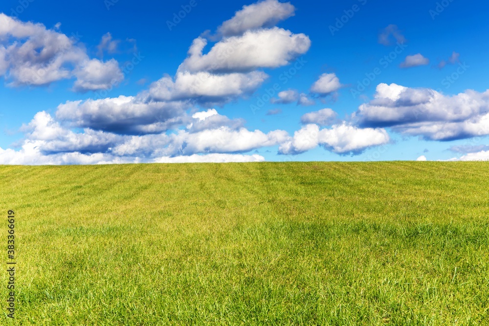 Image of green grass field and bright blue sky in the Czech Republic. Agricultural landscape. Quiet place. Sunny day. Image of green grass field and bright blue sky in the Czech Republic. Agricultural landscape. Quiet place. Sunny day.