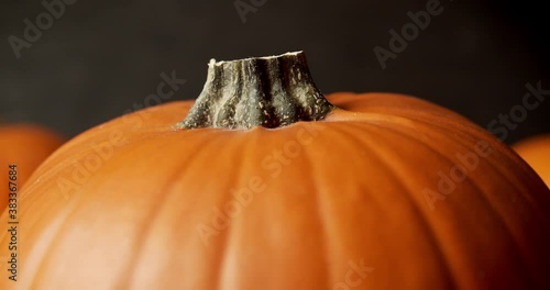 beautiful orange pumpkin on a dark background