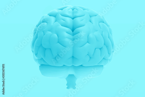 3D rendering hemispheres left and right cerebral brain on blue BG