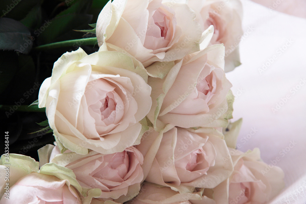 Obraz premium 花束