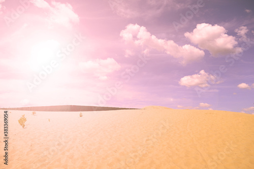 A bright sun shines over the desert. Nature in summer