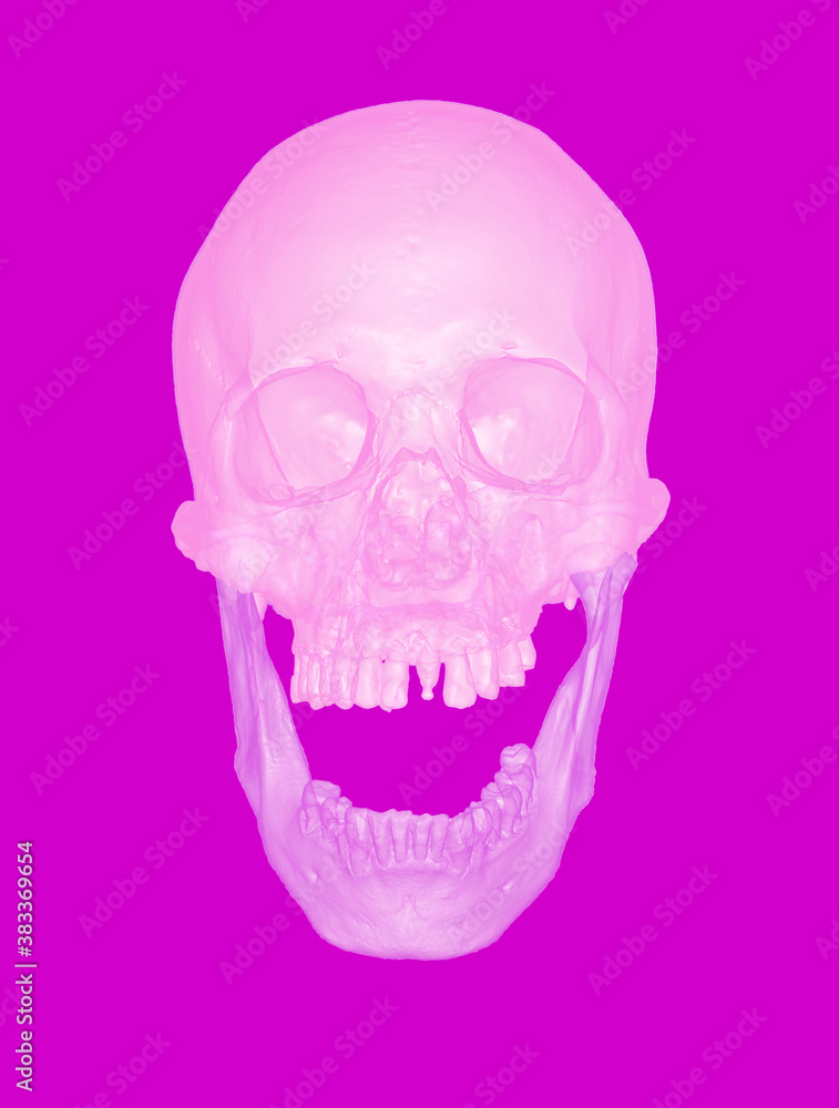 Obraz premium 3D rendering pastel pink skull isolated on magenta BG
