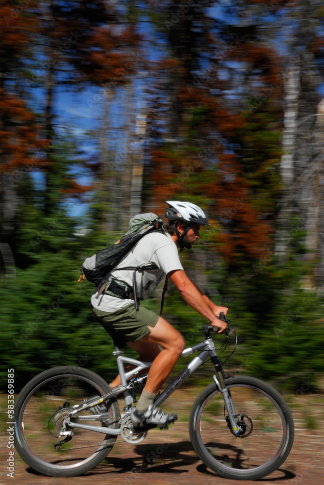 Male mountain bike rider zooming along forest trail Male mountain bike rider zooming along forest trail